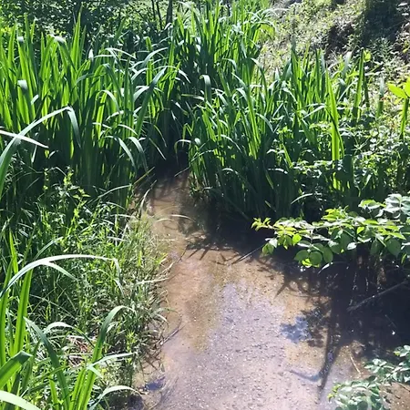 아파트 Le Du Moulin De Vignars