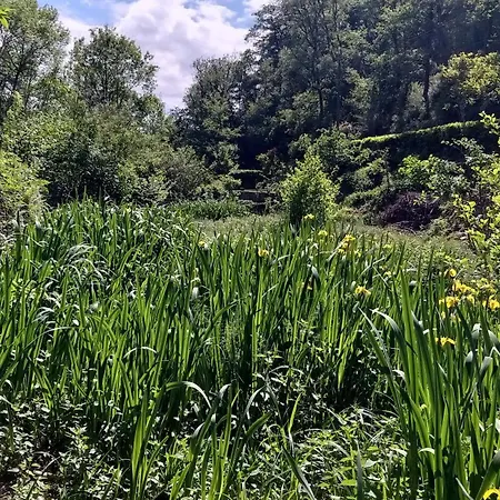 Le Du Moulin De Vignars Ginals